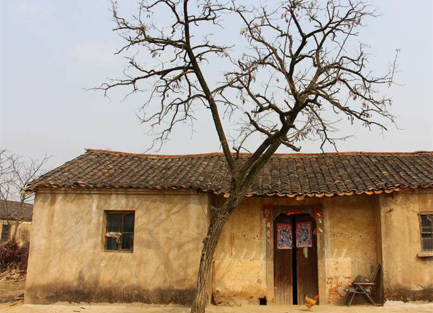 农村传统瓦房效果图图片