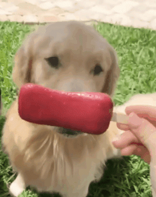 318_400竖版 竖屏gif 动态图 动图