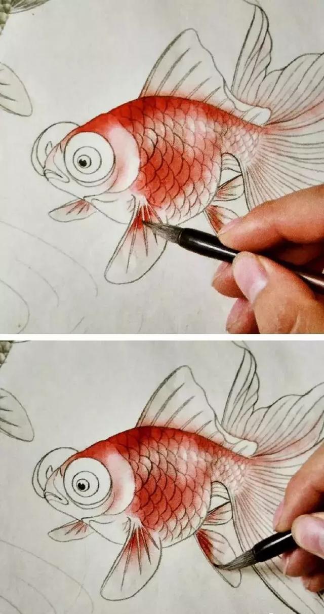 工笔画金鱼染色步骤图片