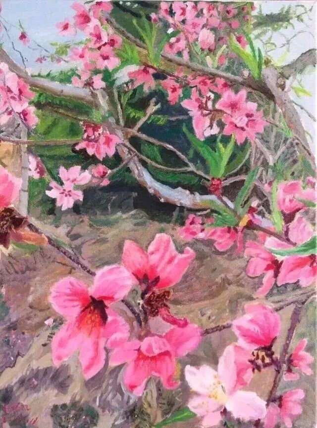 王珍凤绘画作品