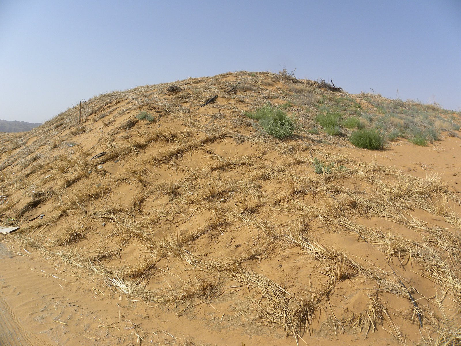 草格防沙,缚住黄龙,守卫家园