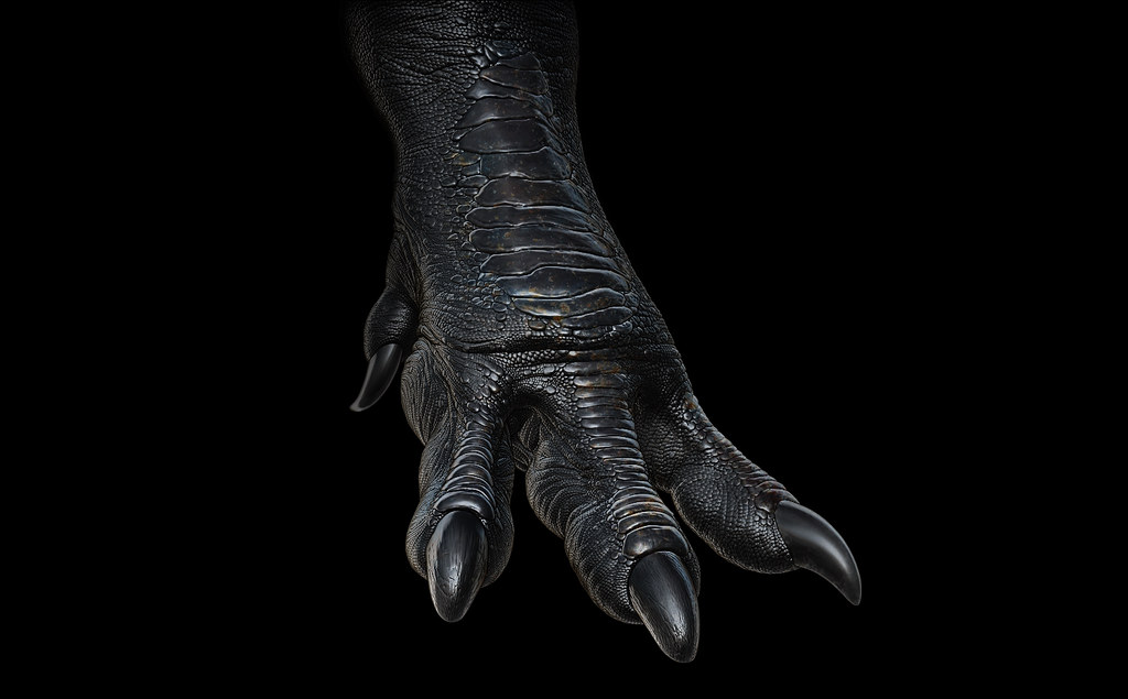 牙齿成叶片状,身体宽胖,脚由四根脚趾支撑,而霸王龙等肉食恐龙后脚是