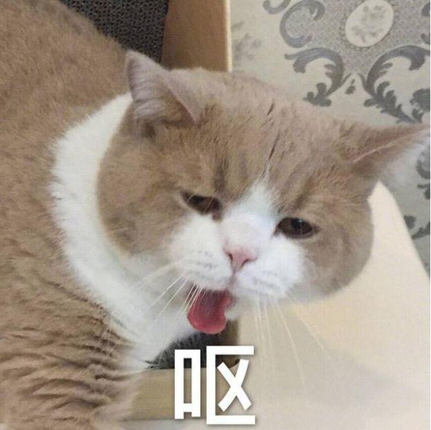 恶心到吐南宁市民网上买的鸡腿烤熟后竟有白蛆从里往外爬