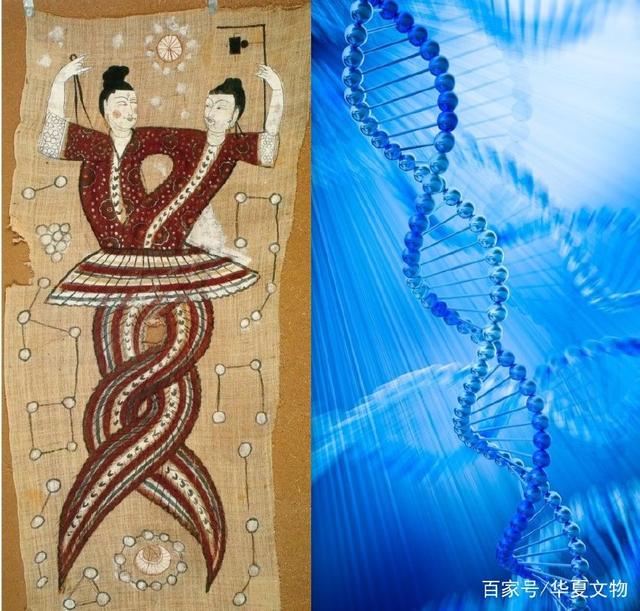 女娲伏羲图和DNA螺旋图片