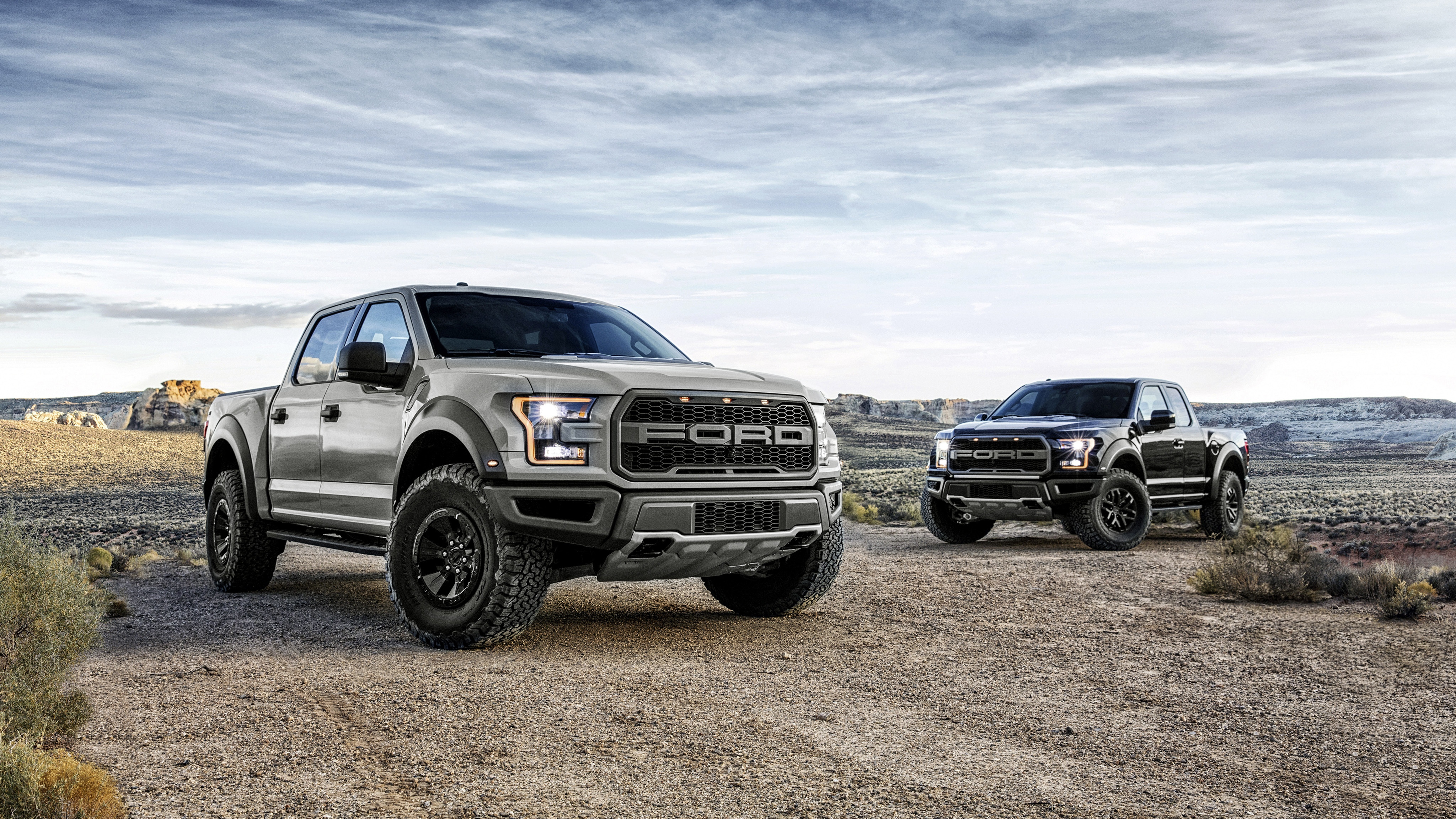 长城炮皮卡,能成为自主品牌的"猛禽"吗?