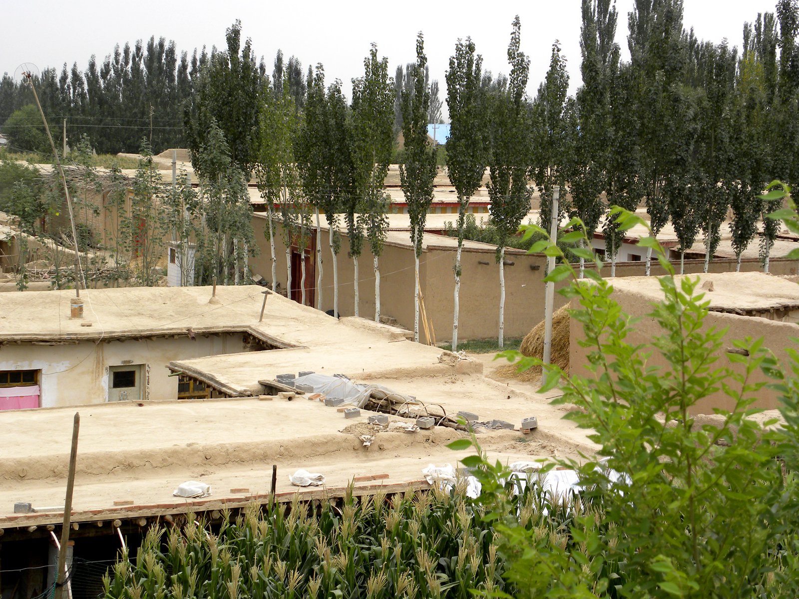 新疆平顶房屋图片