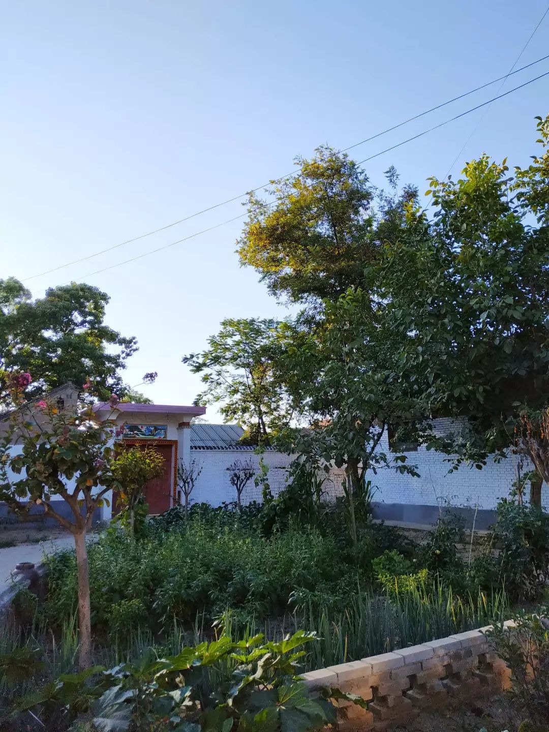 花园乡村用心用情建花园古韵乡村焕新颜