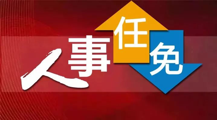 河北1市最新任免市政府办主任局长副局长