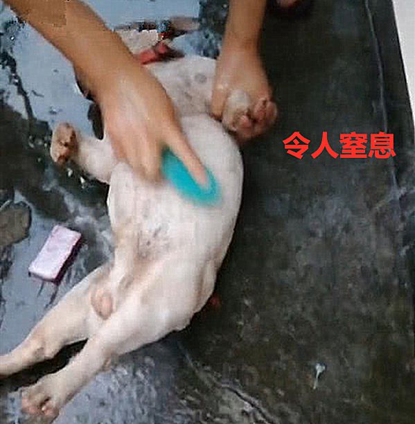 老公在院子里让儿子拿刷子,女人一看:北方人的搓澡方式就是猛