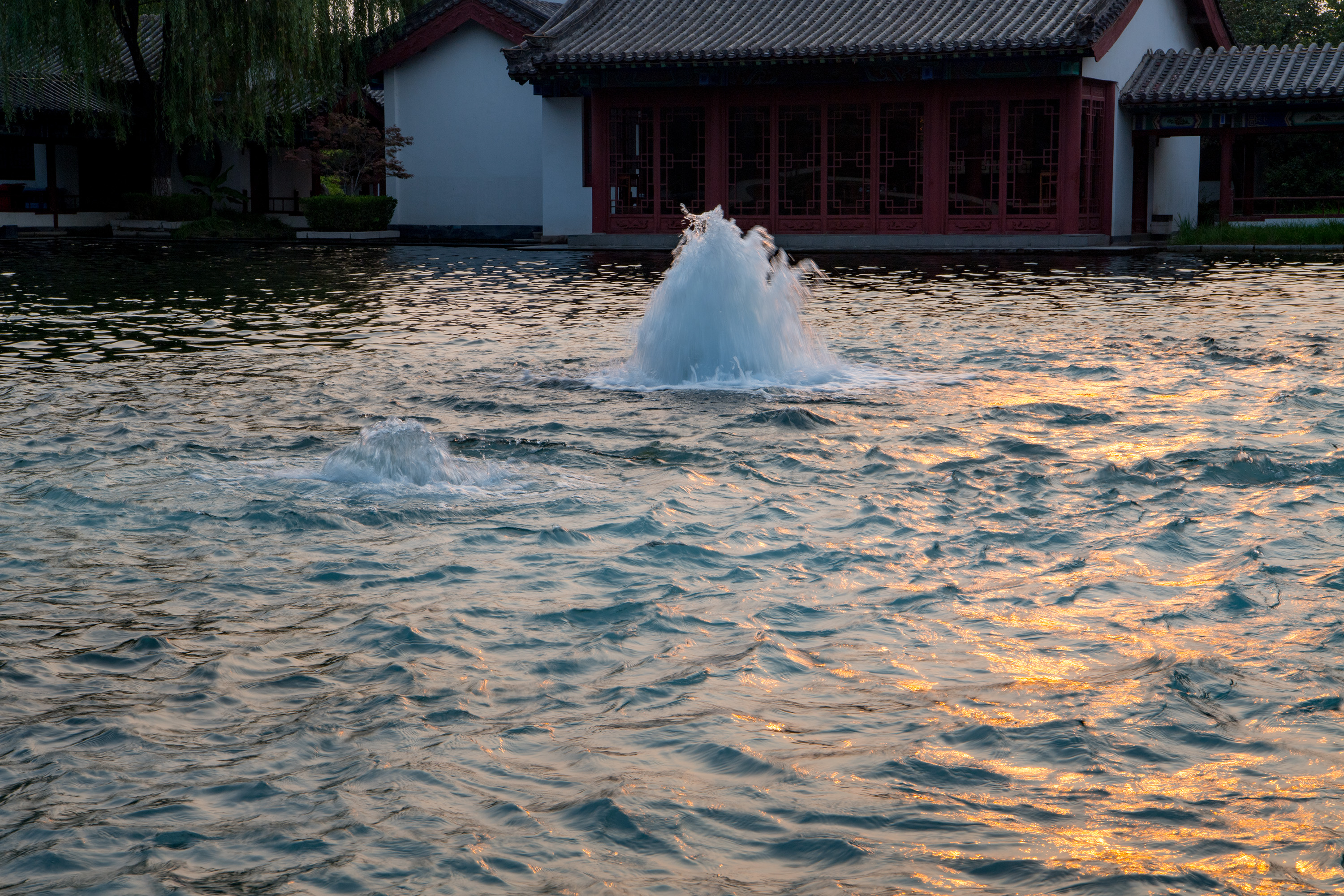 泉城济南雨季后闹腾得最欢的泉群72名泉中这儿有四个