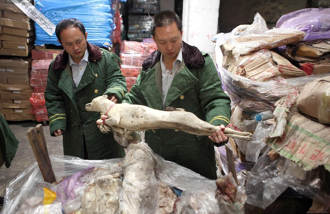 一百年前的肉能吃?大量"僵尸肉"走私入境被阻,战备肉到底是啥
