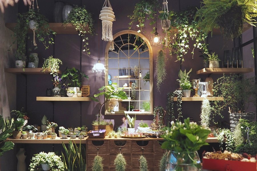 isunflower花艺学院花店花材处理时常见的7种错误