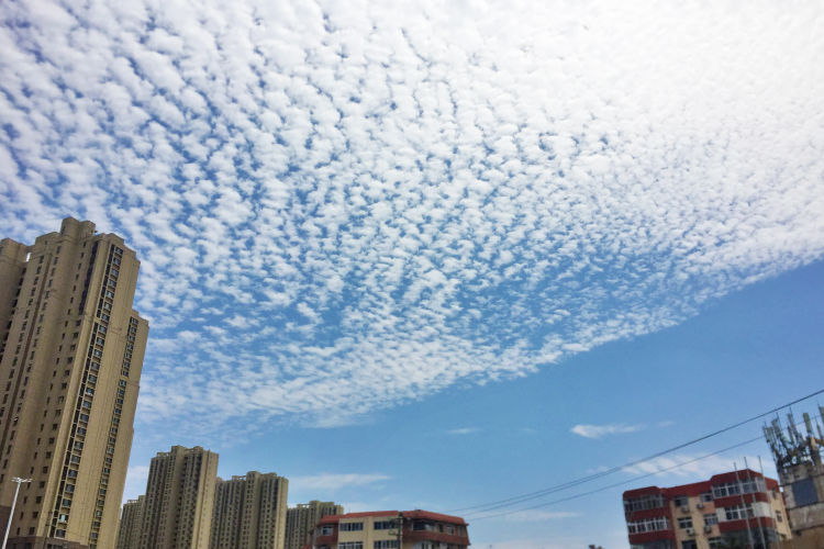 岛城上空呈现鱼鳞天,美不胜收