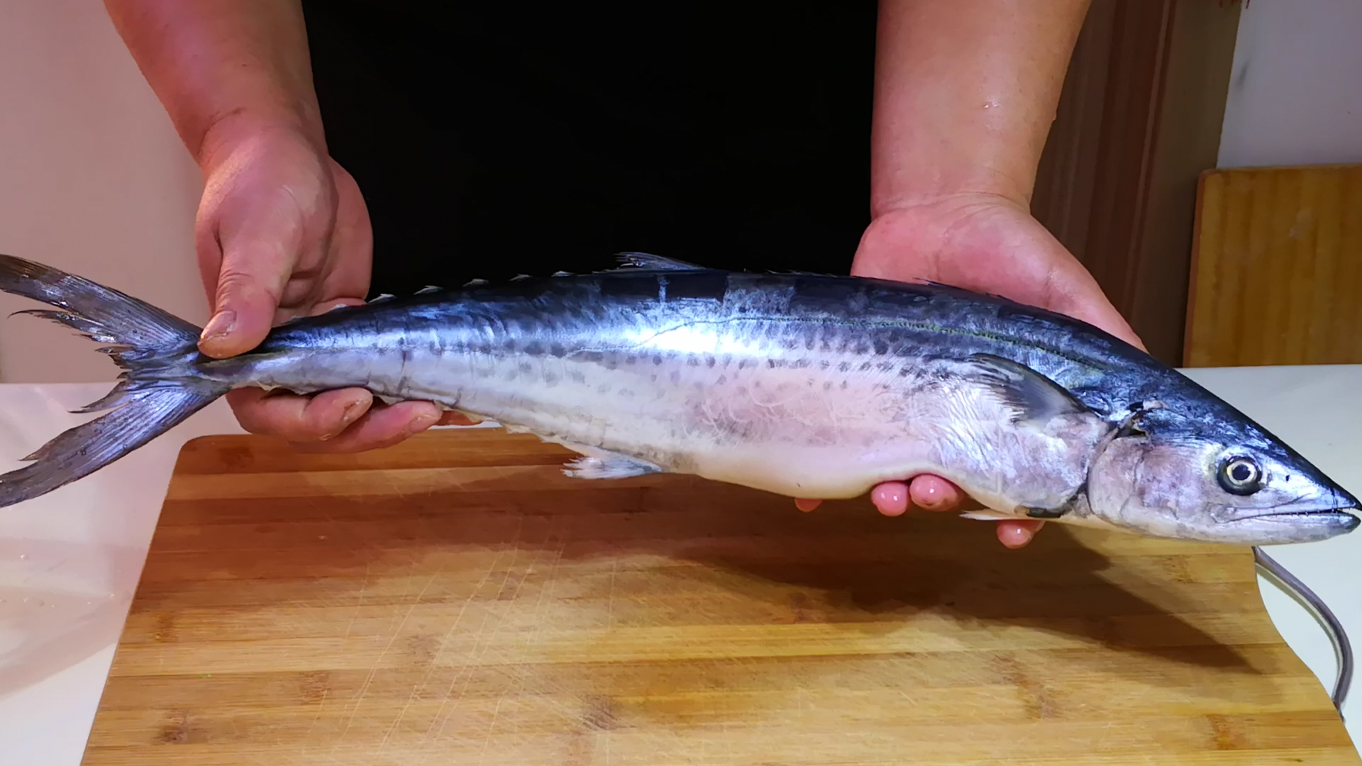 说到鲅鱼,大家并不陌生,也叫蓝点马鲛,它分为"鲐鲅"和"燕鲅"两种,鲐鲅