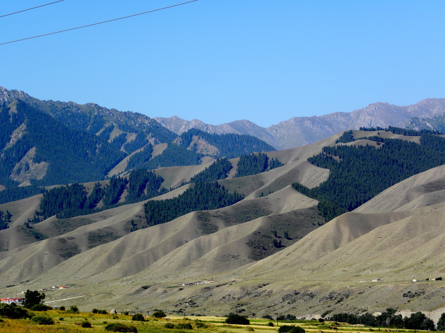 向阳坡树木稀少