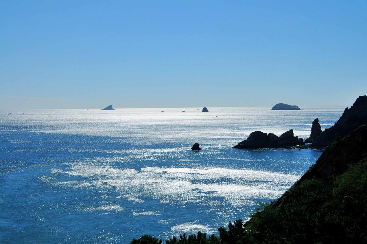 其中万宁的加井岛和洲仔岛,因具有优良的水质和丰富的渔业资源,将被