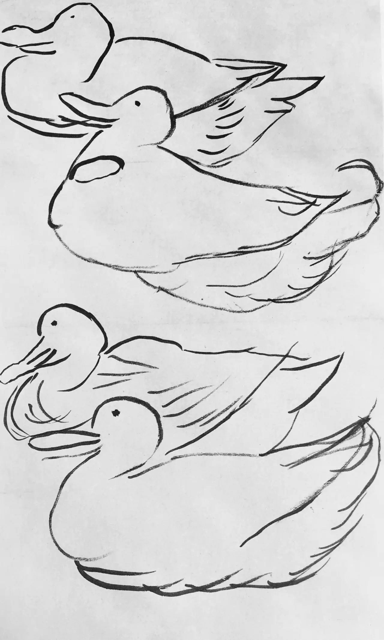 齐白石画的那只鸟如今100岁了