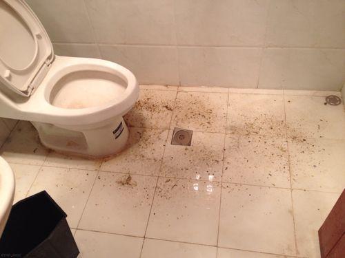卫生间堵塞严重有异味地漏走水不做好要换个通水方法