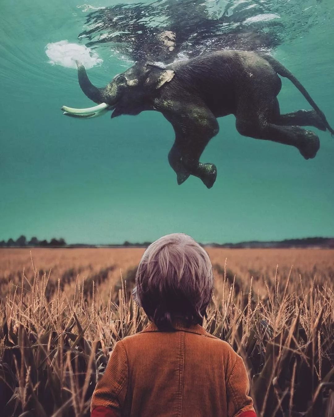 照片还能这样玩这些创意大片简直好看疯了