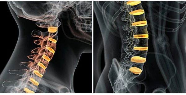 富贵包真的能让你富贵吗