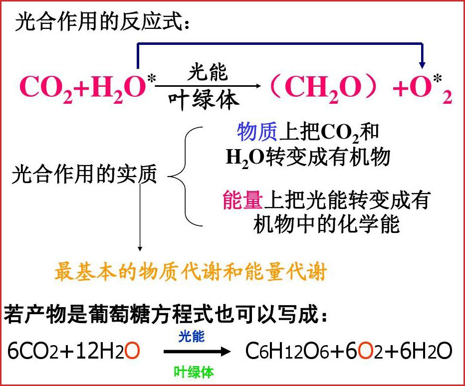 光合作用中反应方程式 图源/网络但是这些程序要想让人类来完成