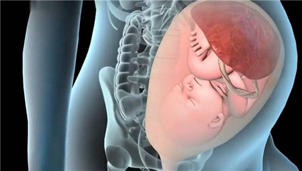 胎儿被娩出的5个步骤,看完后被妈妈和宝宝感动,简直太伟大!