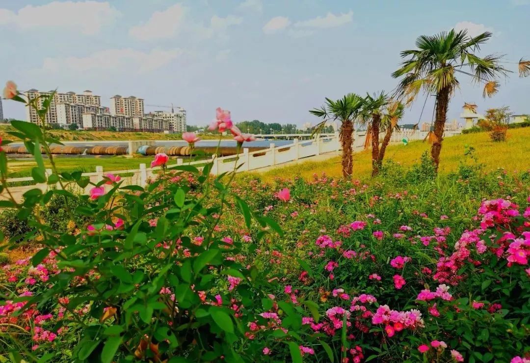 泌阳县泌水河带状公园月儿弯老鳖盖风光