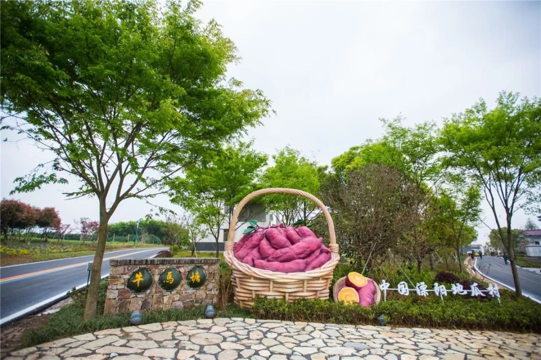 溧阳特色田园乡村牛马塘成果展示庆典活动隆重举行