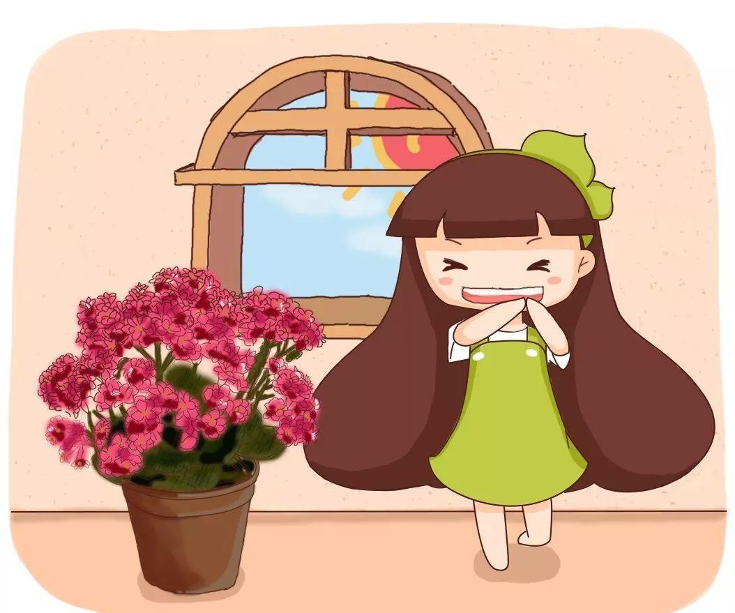 【养花大全】长寿花剪一刀喂点肥，花苞蹭蹭冒，叶子油绿又茂盛！