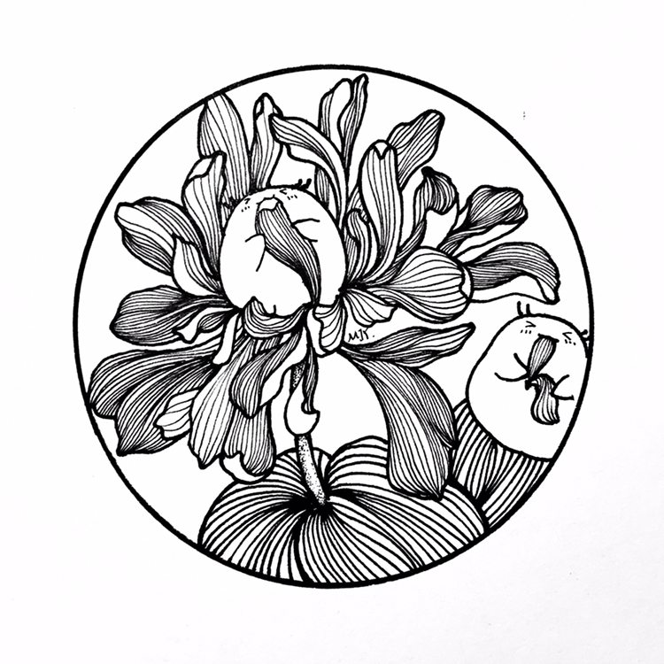 零基础教你画 分步骤讲解线描画 画画其实很简单 人民号