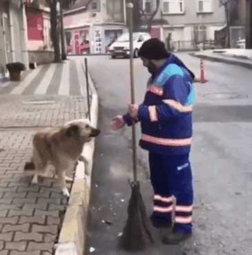 狗与爱的世界@“如果，你愿意靠近我……”