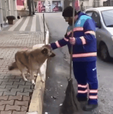 狗与爱的世界@“如果，你愿意靠近我……”