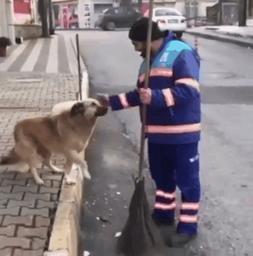 狗与爱的世界@“如果，你愿意靠近我……”