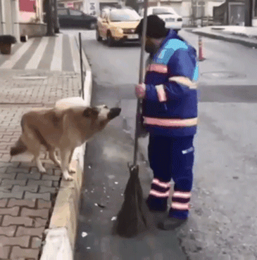 狗与爱的世界@“如果，你愿意靠近我……”