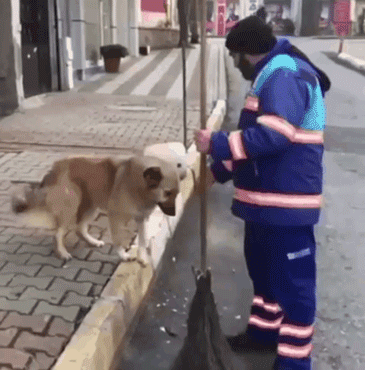 狗与爱的世界@“如果，你愿意靠近我……”