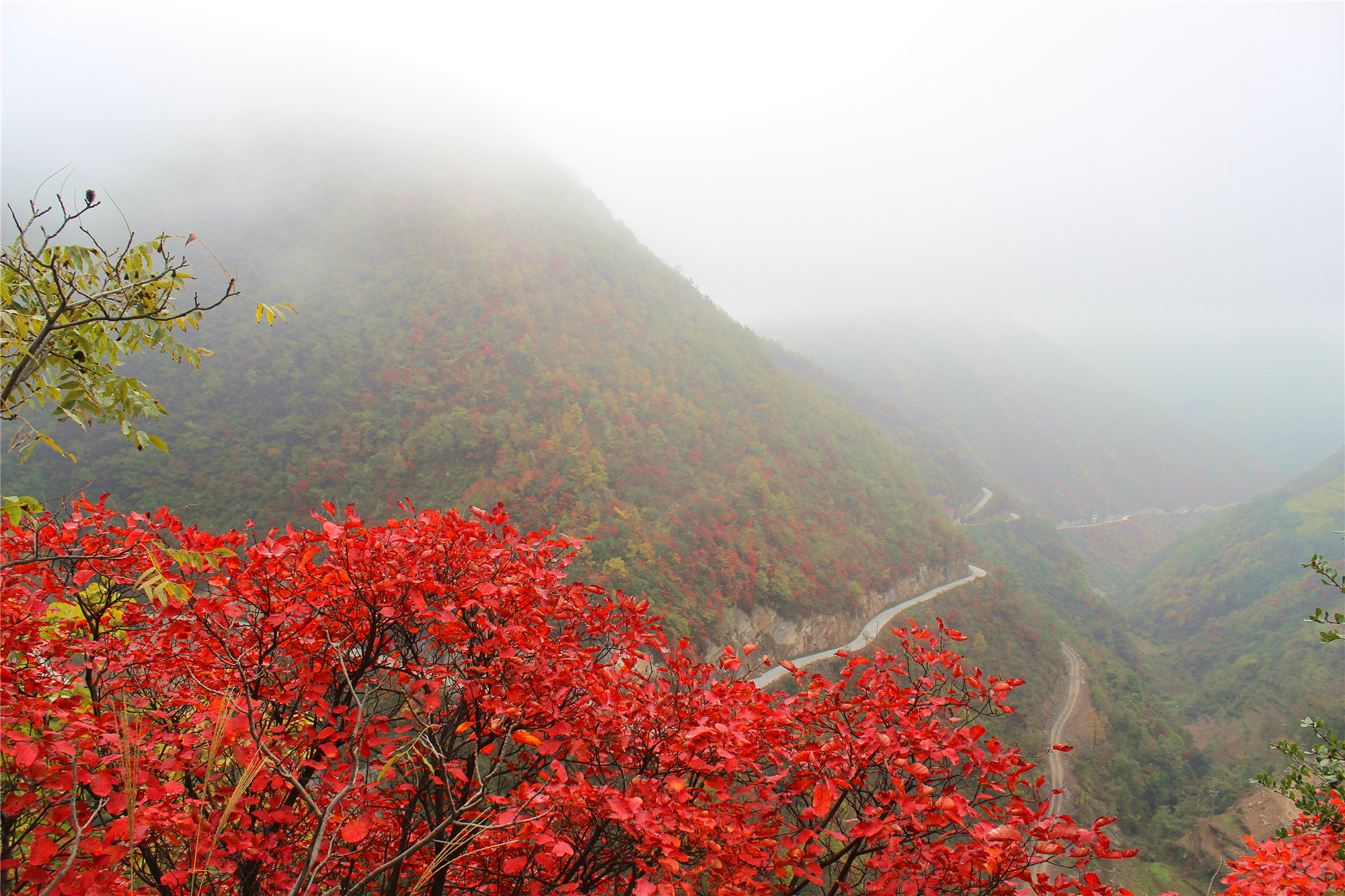 汉江边有一片处女地,每逢秋天满山红叶胜似火,至今很少有人前往