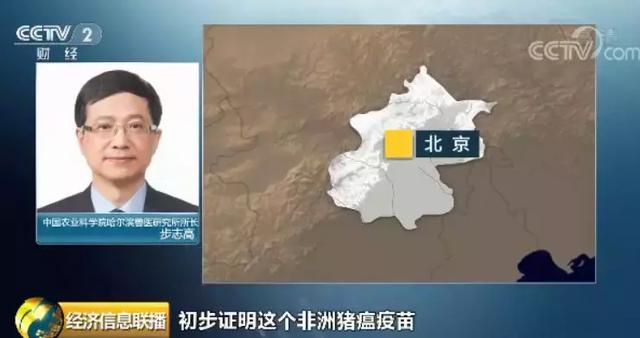 [农业科技报]重大突破！今天，中国农科院发布一条好消息，有关猪瘟疫苗