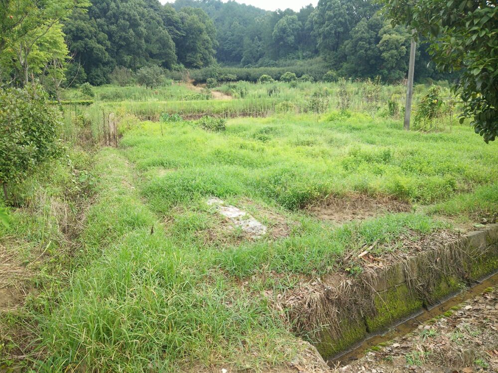 为何现在农村荒地越来越多造成这个现象原因是什么