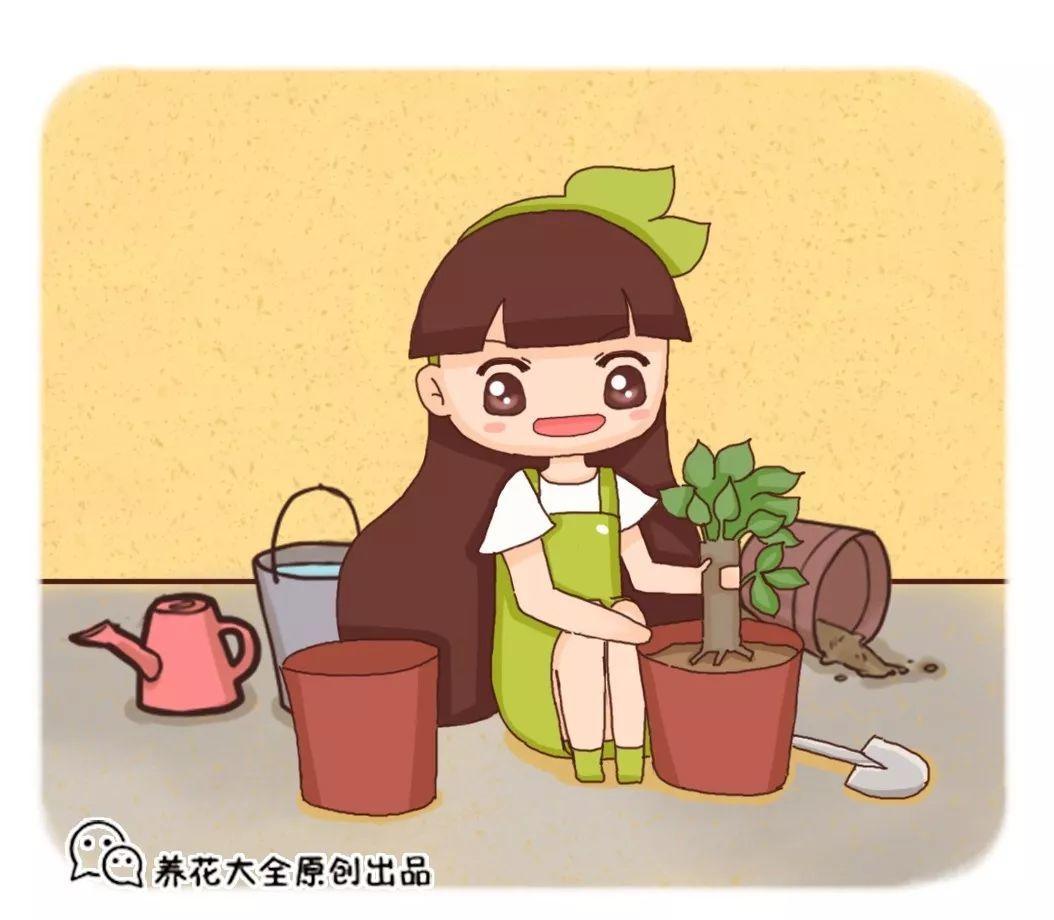 养花大全@9月养花，6件事趁早做，下半年进入疯长模式！