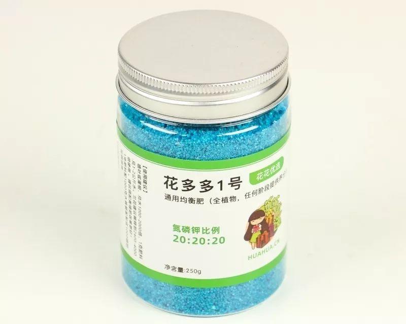 养花大全@9月养花，6件事趁早做，下半年进入疯长模式！