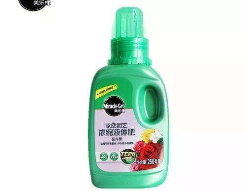 养花大全@9月养花，6件事趁早做，下半年进入疯长模式！