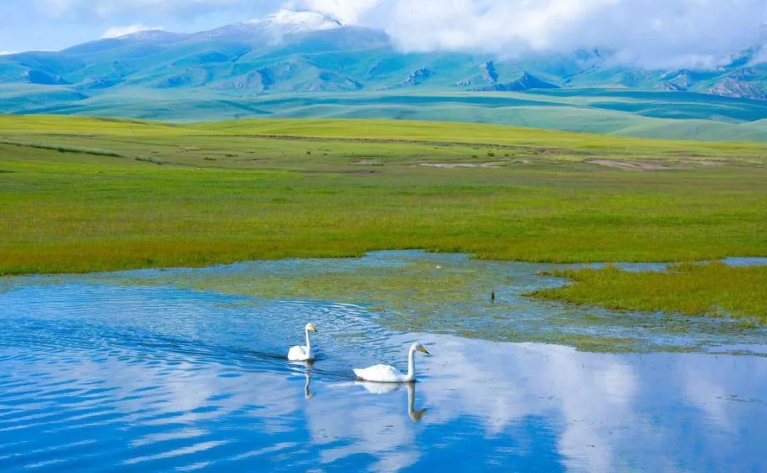 【背包旅行】这条史上最绚烂的自驾线路，藏着中国最美的秋天