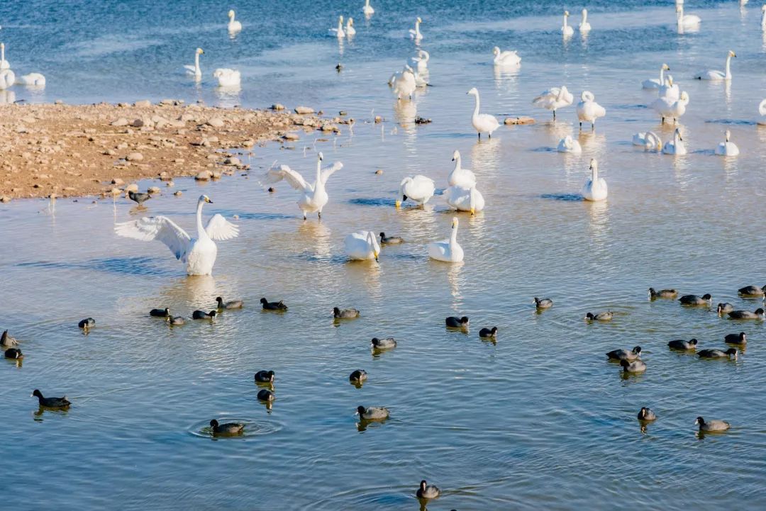 【背包旅行】这条史上最绚烂的自驾线路，藏着中国最美的秋天
