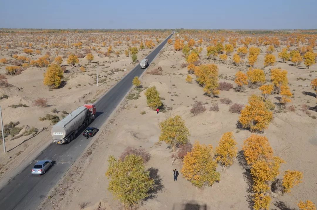 【背包旅行】这条史上最绚烂的自驾线路，藏着中国最美的秋天