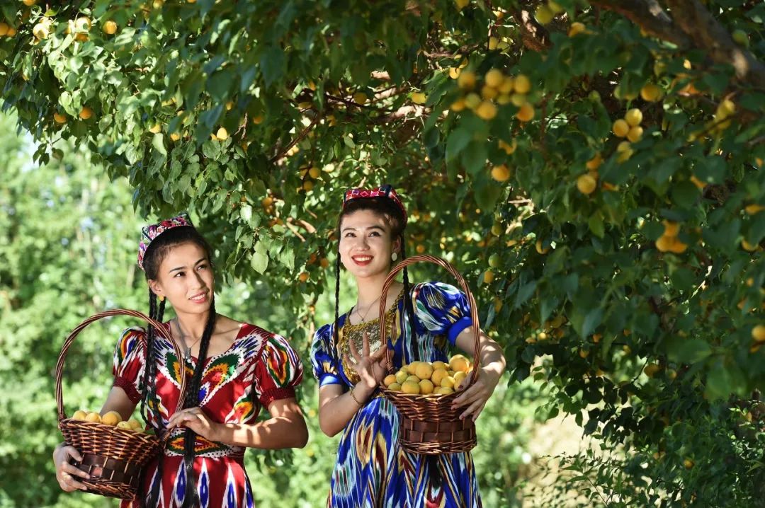 【背包旅行】这条史上最绚烂的自驾线路，藏着中国最美的秋天