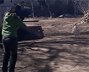 「经济日报」这世界，总有人在默默地爱着你