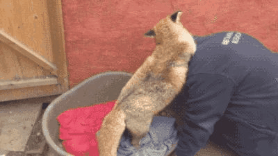 「经济日报」这世界，总有人在默默地爱着你