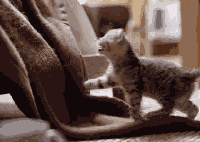 「经济日报」这世界，总有人在默默地爱着你