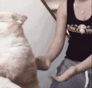 「经济日报」这世界，总有人在默默地爱着你