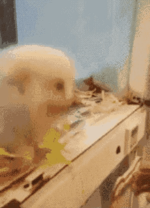 「经济日报」这世界，总有人在默默地爱着你